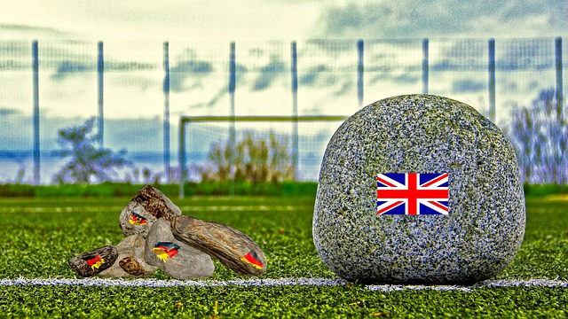 新秀选手通 新秀选手通