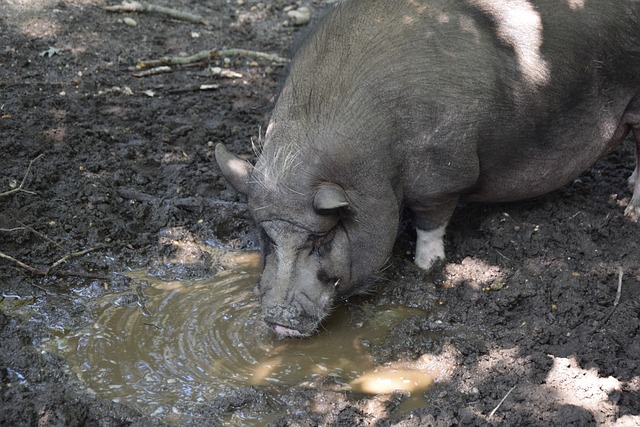 在足球圈中 在足球圈中